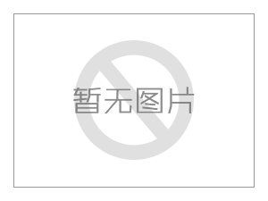 环保型彩石砂涂料攻占市场或成主流